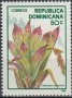 植物:北美洲:多米尼加:do198804.jpg