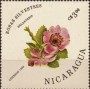 植物:北美洲:尼加拉瓜:ni198603.jpg