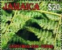 植物:北美洲:牙买加:jm200801.jpg
