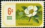 植物:北美洲:美国:us196904.jpg