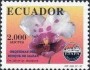 植物:南美洲:厄瓜多尔:ec199704.jpg