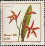 植物:南美洲:巴西:br198002.jpg