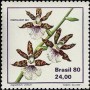 植物:南美洲:巴西:br198003.jpg