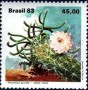 植物:南美洲:巴西:br198301.jpg