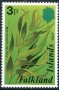 植物:南美洲:福克兰:fk197901.jpg