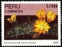 植物:南美洲:秘鲁:pe198901.jpg