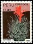 植物:南美洲:秘鲁:pe198904.jpg