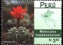 植物:南美洲:秘鲁:pe200001.jpg