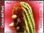 植物:南美洲:秘鲁:pe200802.jpg