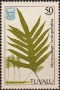 植物:大洋洲:图瓦卢:tv198703.jpg