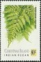 植物:大洋洲:圣诞岛:cx198903.jpg