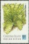 植物:大洋洲:圣诞岛:cx198904.jpg