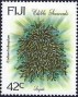 植物:大洋洲:斐济:fj199401.jpg