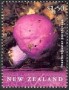 植物:大洋洲:新西兰:nz200205.jpg