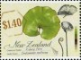 植物:大洋洲:新西兰:nz201302.jpg