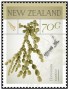 植物:大洋洲:新西兰:nz201401.jpg