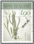 植物:大洋洲:新西兰:nz201403.jpg