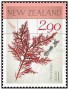 植物:大洋洲:新西兰:nz201405.jpg