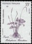 植物:大洋洲:法属波利尼西亚:pf198702.jpg