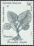 植物:大洋洲:法属波利尼西亚:pf198703.jpg