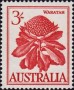 植物:大洋洲:澳大利亚:au195903.jpg