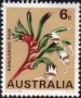 植物:大洋洲:澳大利亚:au196801.jpg