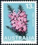 植物:大洋洲:澳大利亚:au196802.jpg