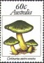 植物:大洋洲:澳大利亚:au198104.jpg