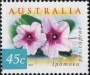 植物:大洋洲:澳大利亚:au199903.jpg