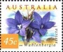 植物:大洋洲:澳大利亚:au199904.jpg