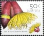 植物:大洋洲:澳大利亚:au200506.jpg