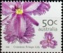 植物:大洋洲:澳大利亚:au200507.jpg