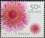 植物:大洋洲:澳大利亚:au200508.jpg