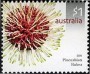 植物:大洋洲:澳大利亚:au200602.jpg