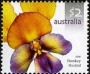植物:大洋洲:澳大利亚:au200603.jpg