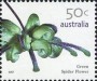 植物:大洋洲:澳大利亚:au200702.jpg