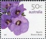 植物:大洋洲:澳大利亚:au200703.jpg