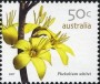 植物:大洋洲:澳大利亚:au200704.jpg