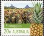 植物:大洋洲:澳大利亚:au201203.jpg