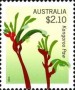 植物:大洋洲:澳大利亚:au201413.jpg