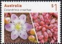 植物:大洋洲:澳大利亚:au201703.jpg