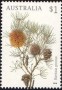 植物:大洋洲:澳大利亚:au201802.jpg