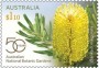 植物:大洋洲:澳大利亚:au202002.jpg
