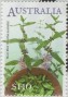 植物:大洋洲:澳大利亚:au202201.jpg
