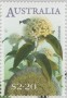 植物:大洋洲:澳大利亚:au202203.jpg