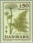 植物:欧洲:丹麦:dk197702.jpg