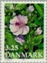 植物:欧洲:丹麦:dk199001.jpg