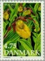 植物:欧洲:丹麦:dk199004.jpg