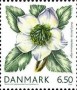 植物:欧洲:丹麦:dk200802.jpg