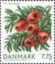 植物:欧洲:丹麦:dk200803.jpg